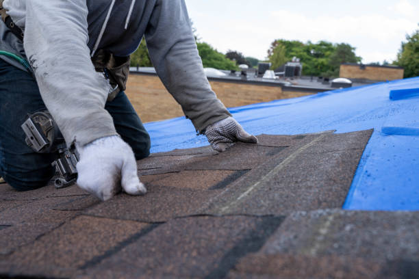 Reliable Calera, AL Roofing Contractor Solutions